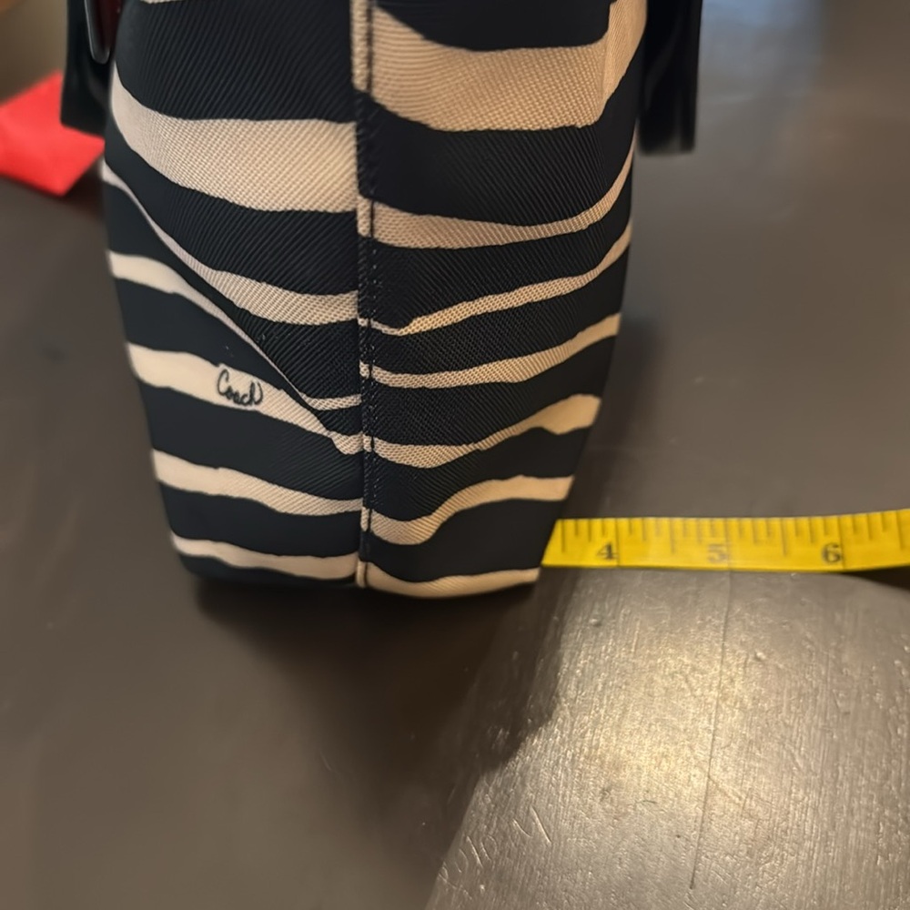 Coach Zebra Bag - Picture 15 of 16
